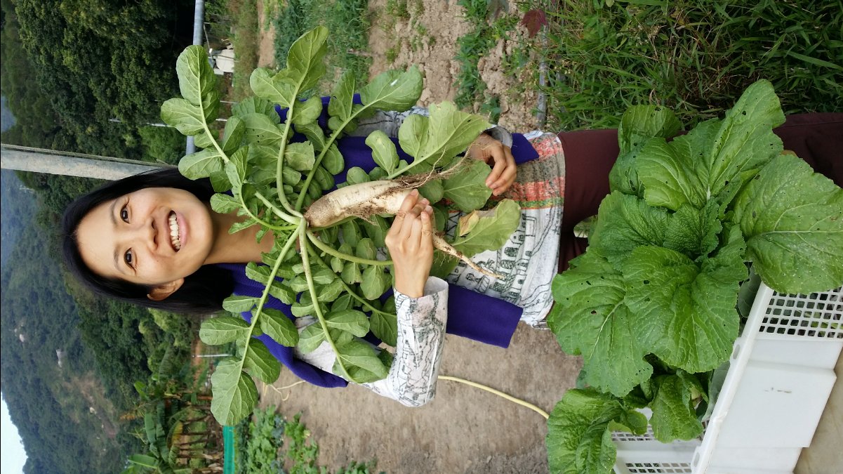 20131124 Organic Farm42